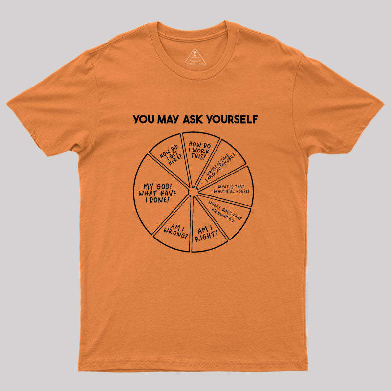 You May Ask Yourself Geek T-Shirt
