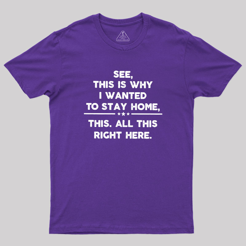 See This Is Why I Wanted To Stay home Geek T-Shirt
