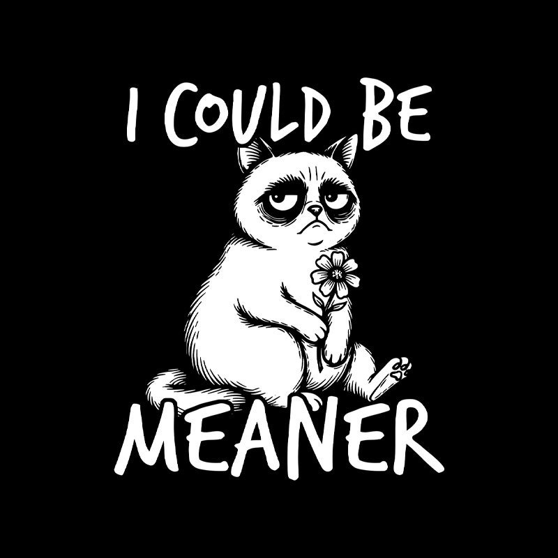 I Could Be Meaner Geek T-Shirt