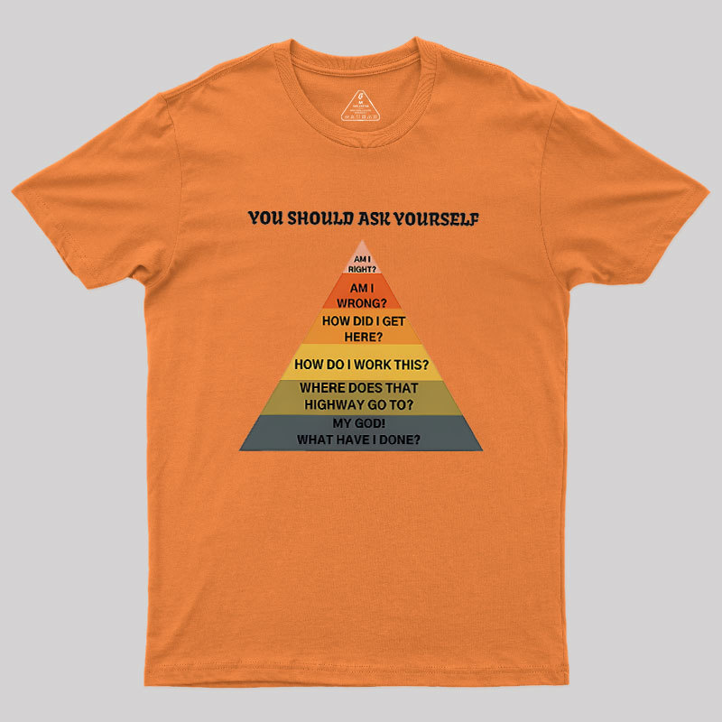 You Should Ask Yourself Geek T-Shirt