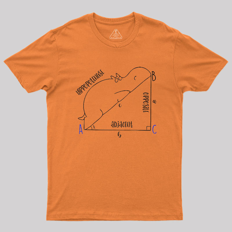 Interesting Math Geek T-Shirt