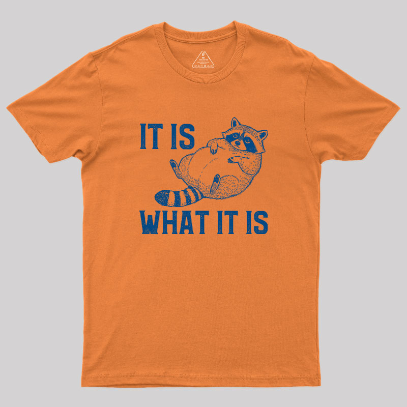 This Is What It Is Geek T-Shirt