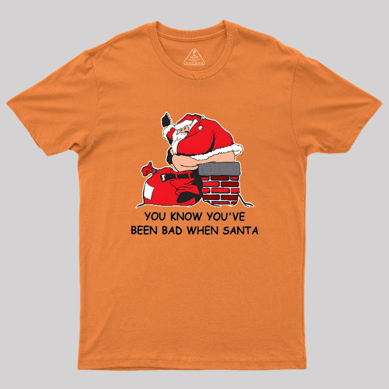 You Know You've Been Bad Geek T-Shirt