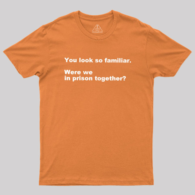 Were We in Prison Together Geek T-Shirt