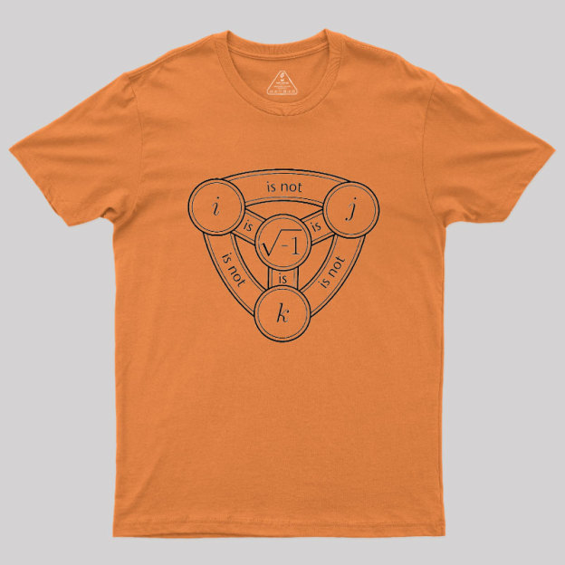 Divine Algebraic Confusion Geek T-Shirt