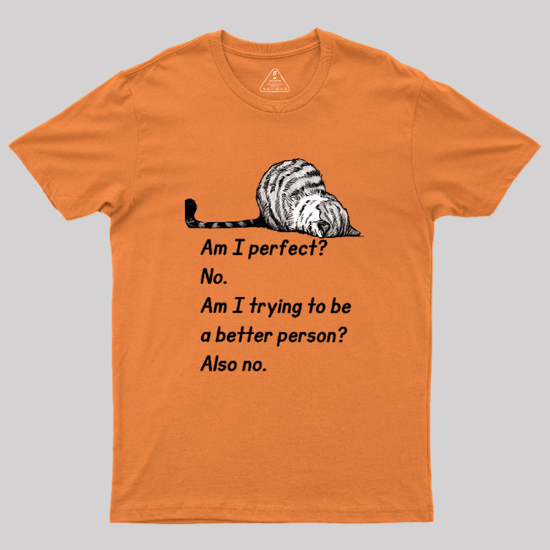 Am I Perfect No Geek T-Shirt
