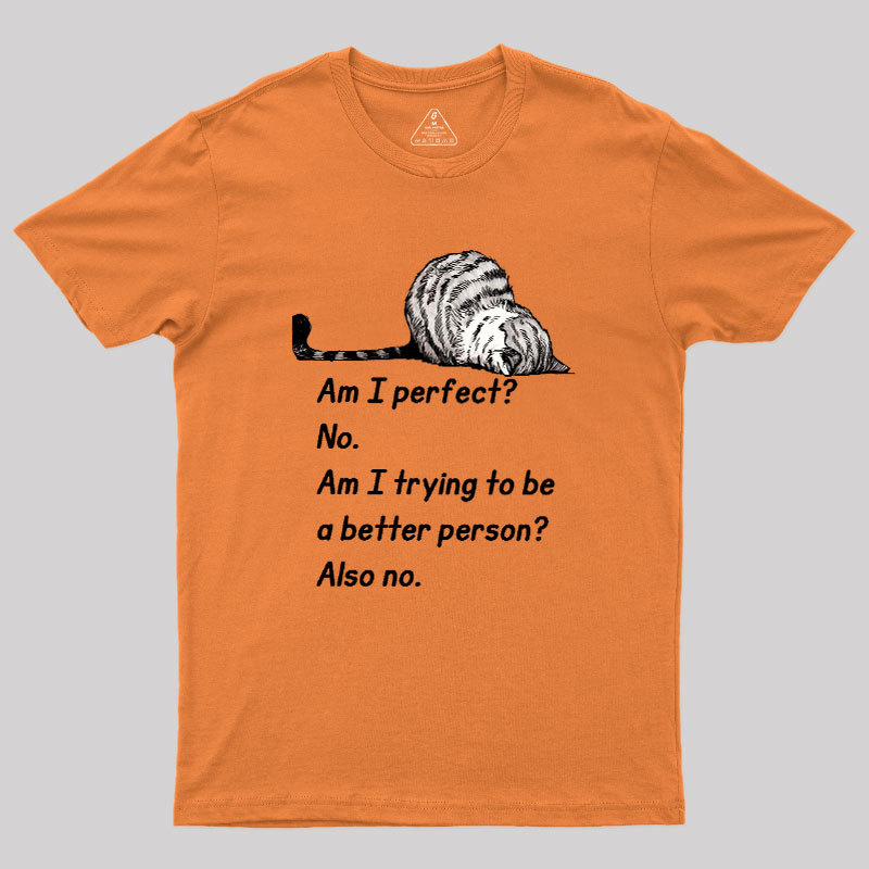 Am I Perfect No Geek T-Shirt