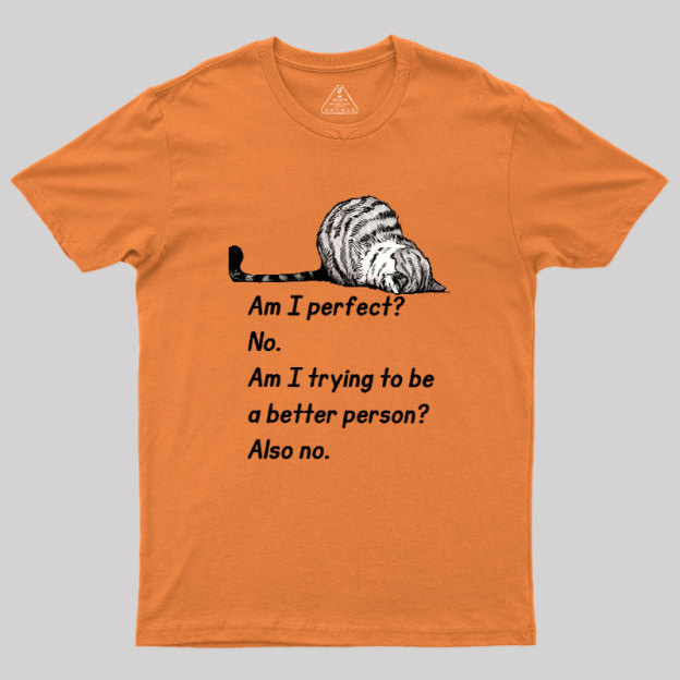 Am I Perfect No Geek T-Shirt