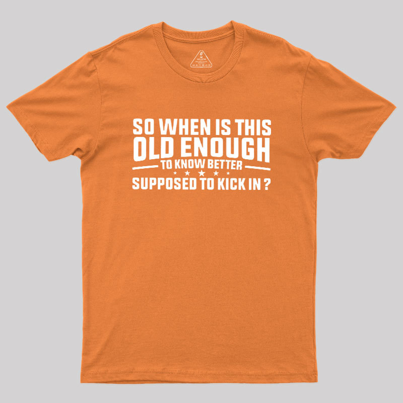 So When Is This Old Enough To Know Better Supposed To Kick In Geek T-Shirt