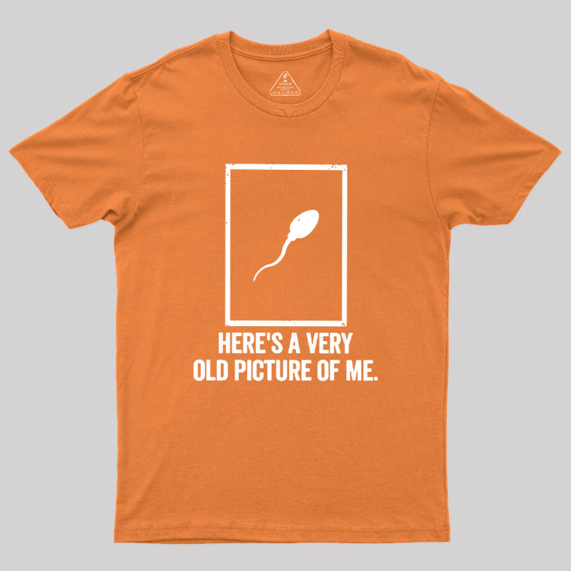 Here's A Very Old Picture Of Me Geek T-Shirt