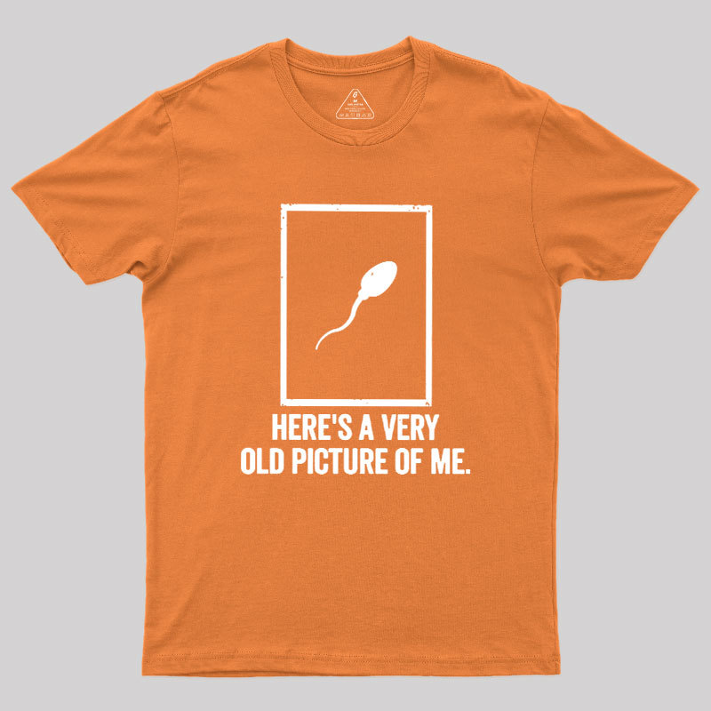 Geeksoutfit Here's A Very Old Picture Of Me Geek T-Shirt for Sale