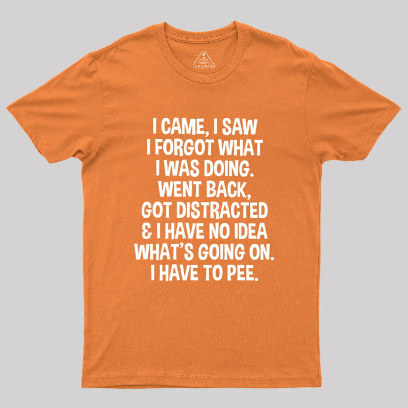 I Came I Saw I Forgot What I Was Doing Geek T-Shirt
