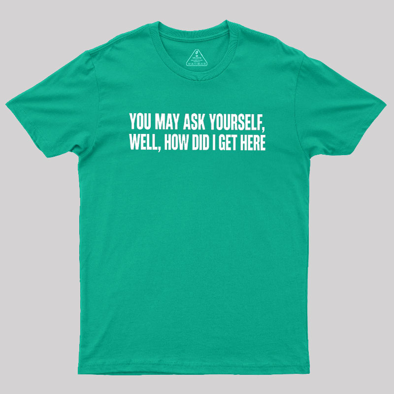You May Ask Yourself Well How Did I Get Here Geek T-Shirt