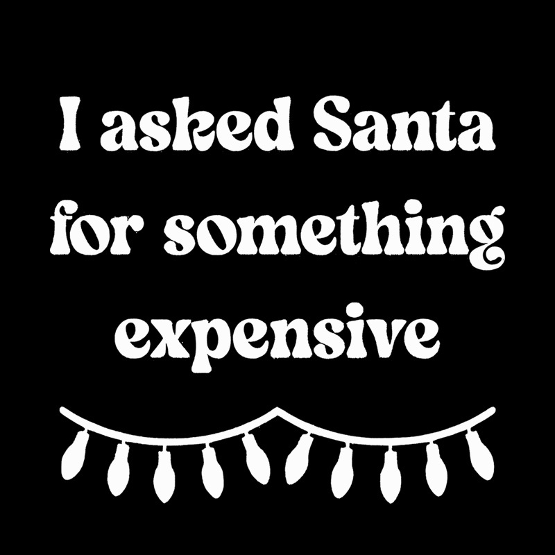 I Asked Santa For Something Expensive Geek T-Shirt