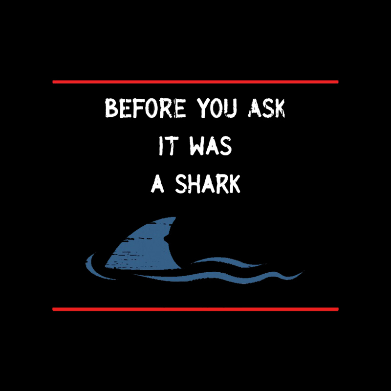 Before You Ask Geek T-Shirt