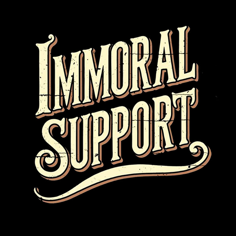 Immoral Support Friend Geek T-Shirt