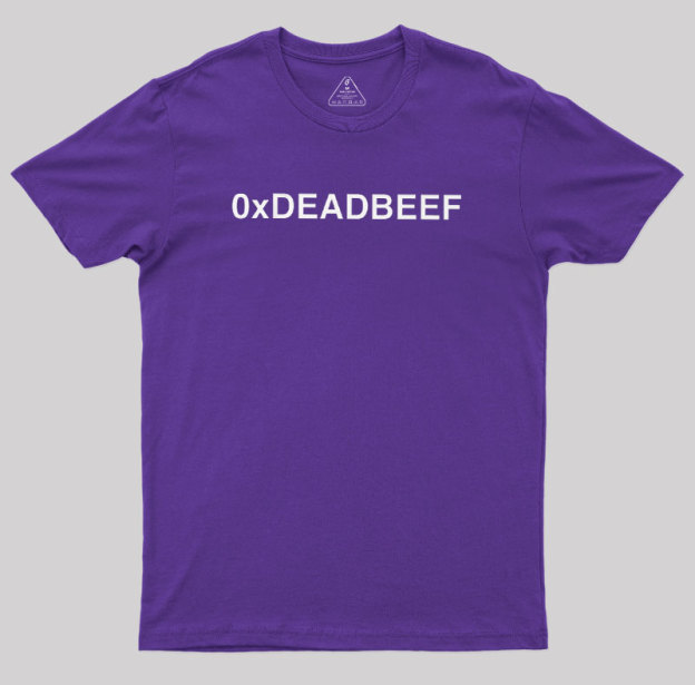 0xDEADBEEF Geek T-Shirt
