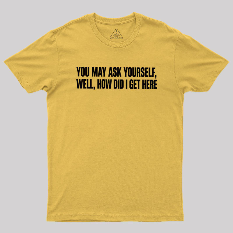 You May Ask Yourself Well How Did I Get Here Geek T-Shirt