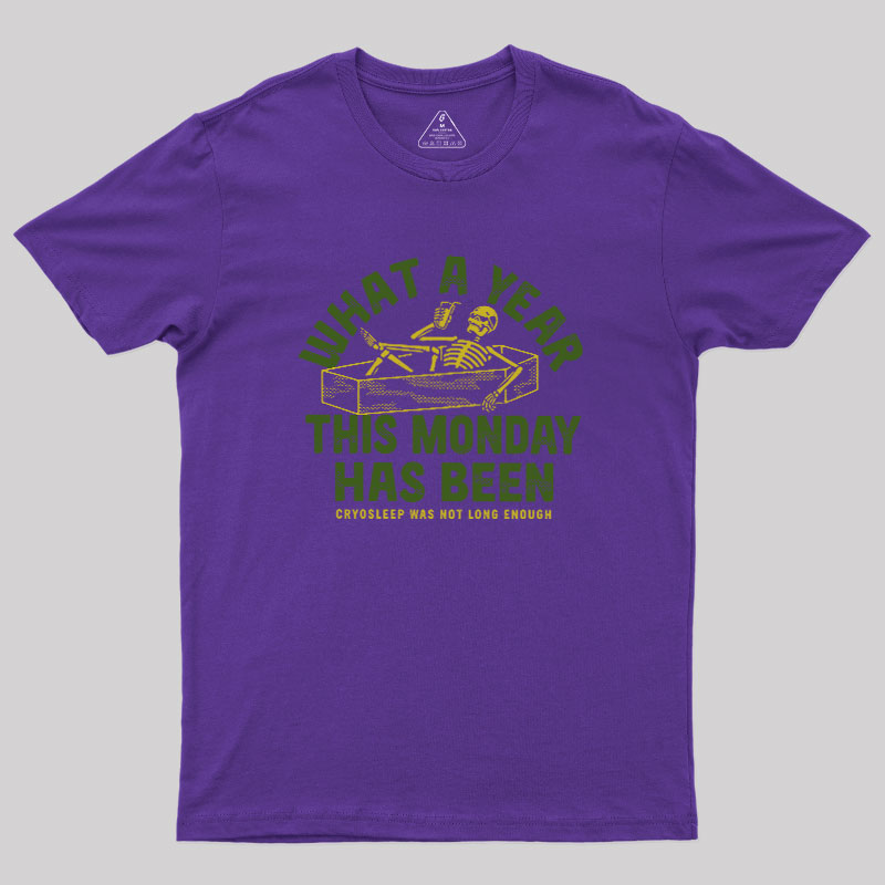 What A Year This Monday Has Been Geek T-Shirt