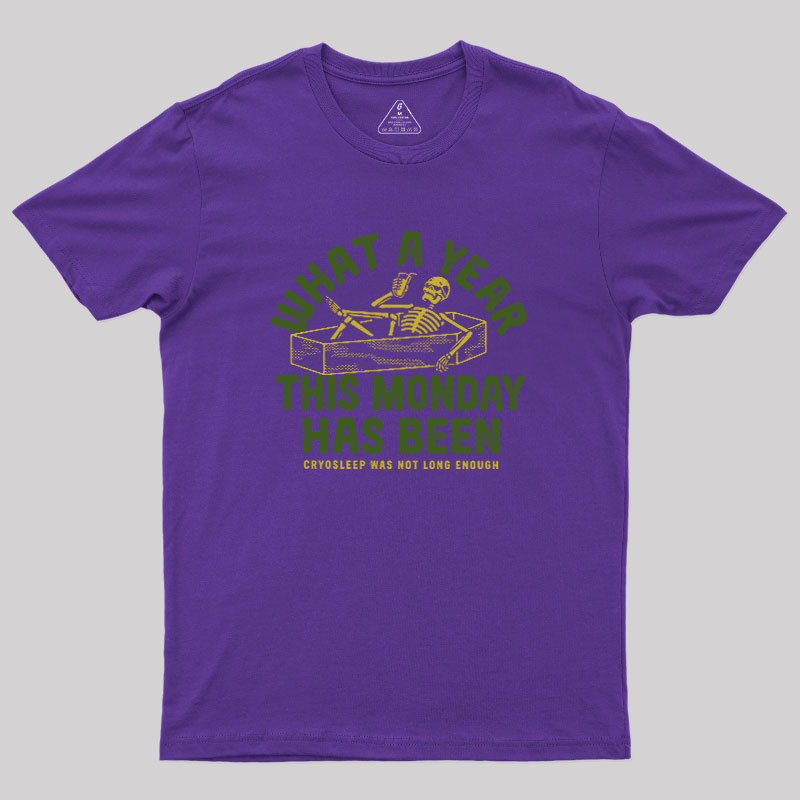 What A Year This Monday Has Been Geek T-Shirt