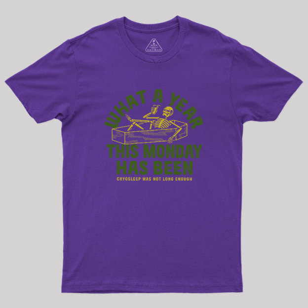 What A Year This Monday Has Been Geek T-Shirt