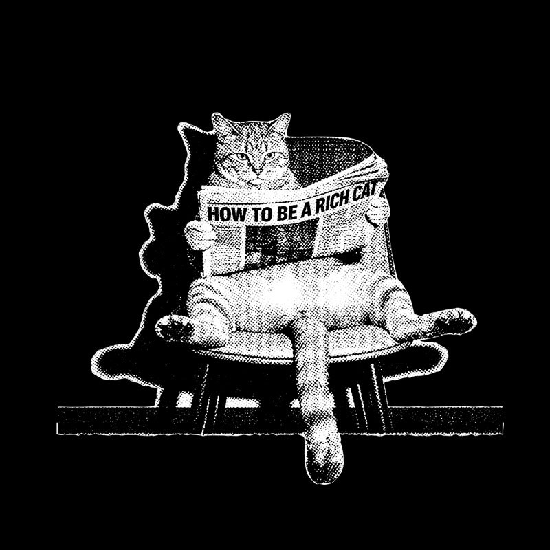 How To Be A Rich Cat Geek T-Shirt