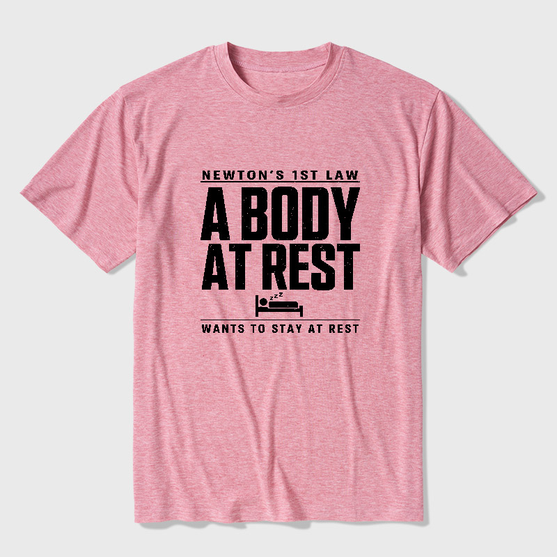 Newton's First Law Geek Ultra Soft Heather Tee