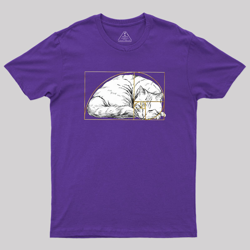 Perfect Ratio Geek T-Shirt