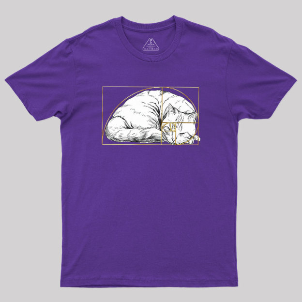 Perfect Ratio Geek T-Shirt