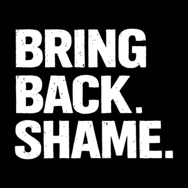 Bring Back Shame Geek T-Shirt