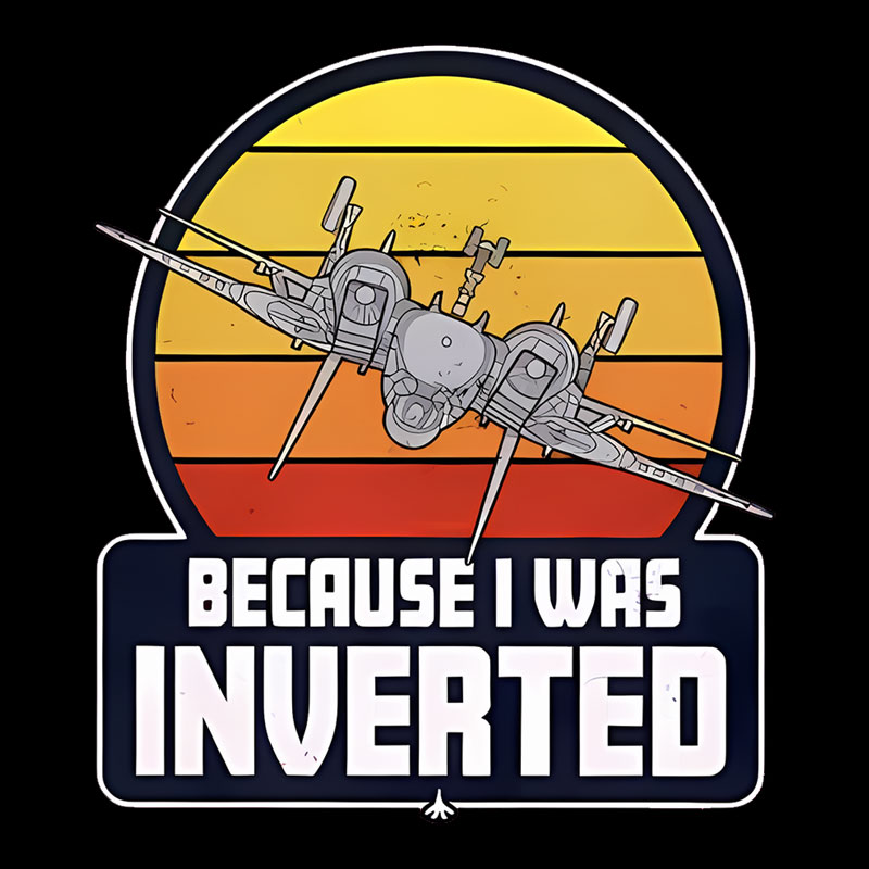 Because I Was Inverted Geek T-Shirt