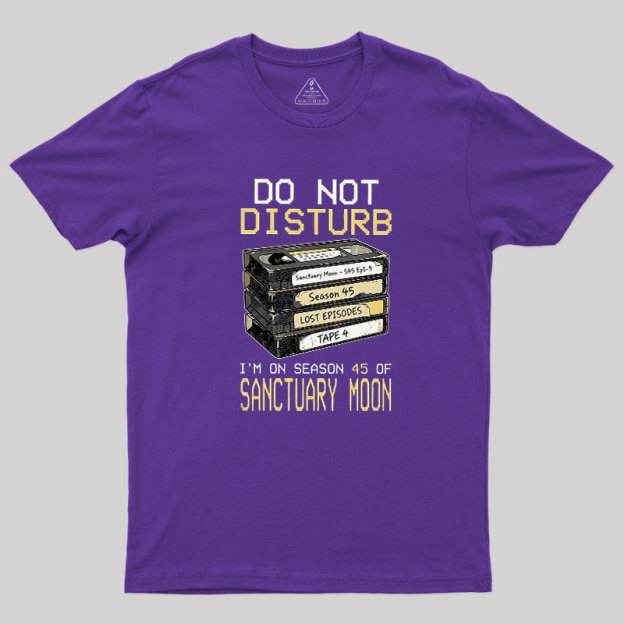 DO NOT DISTURB Geek T-Shirt