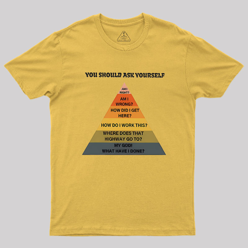 You Should Ask Yourself Geek T-Shirt