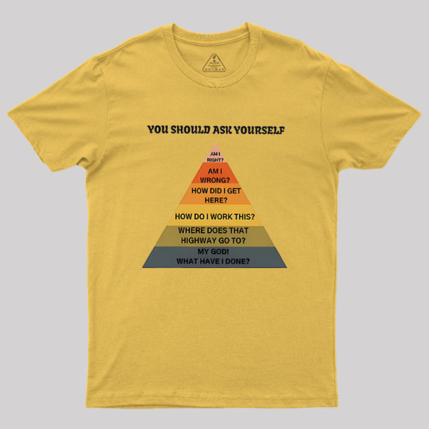 You Should Ask Yourself Geek T-Shirt