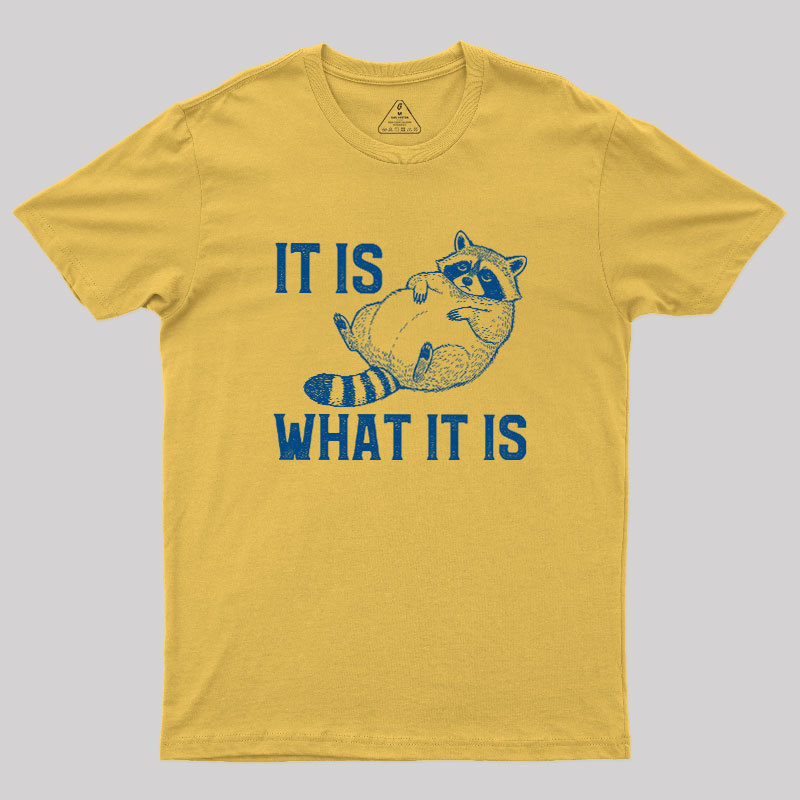 This Is What It Is Geek T-Shirt