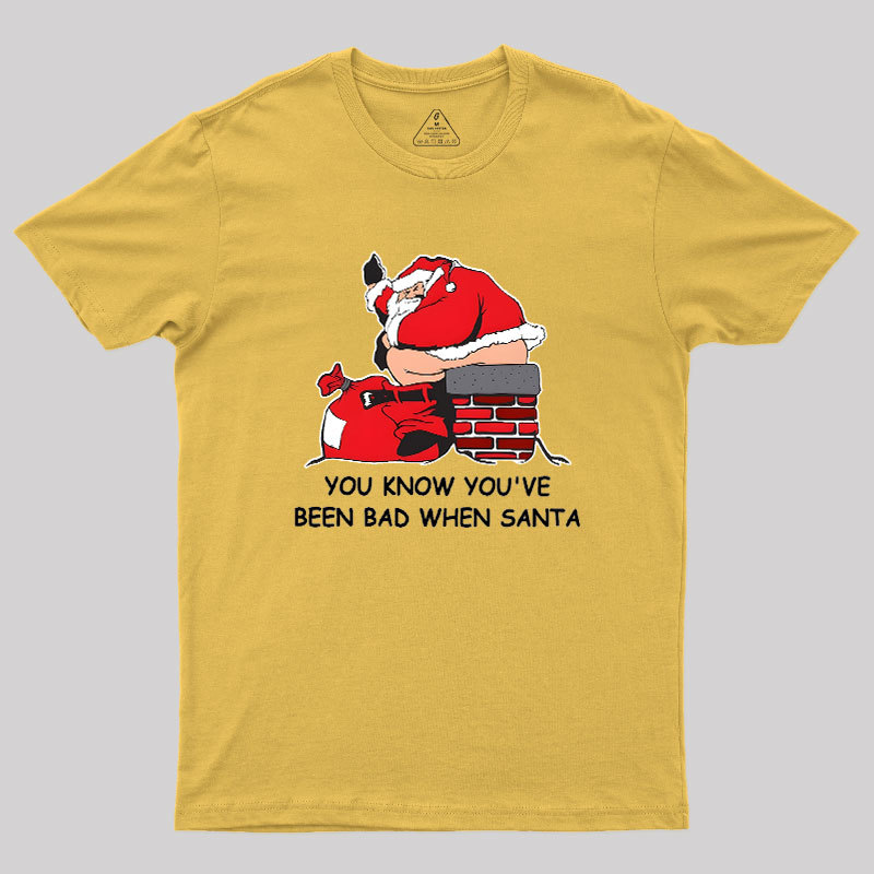 You Know You've Been Bad Geek T-Shirt