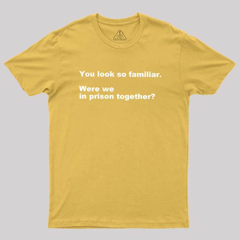 Were We in Prison Together Geek T-Shirt