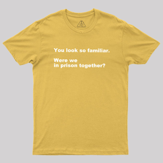 Were We in Prison Together Geek T-Shirt