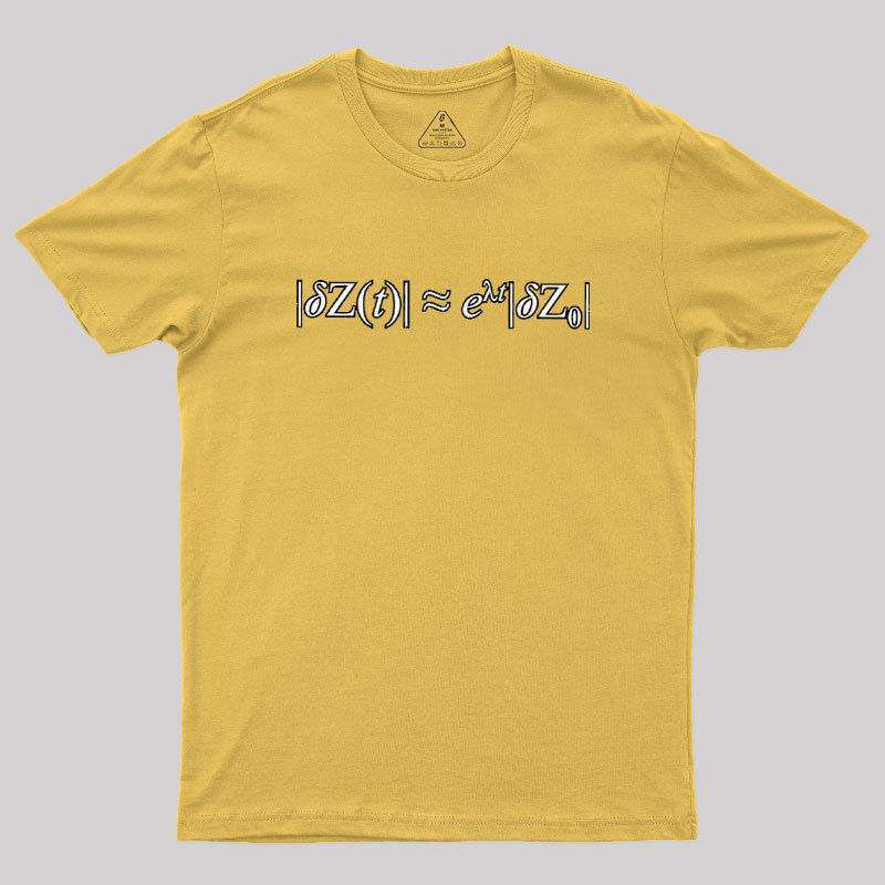 Chaos Theory Geek T-Shirt