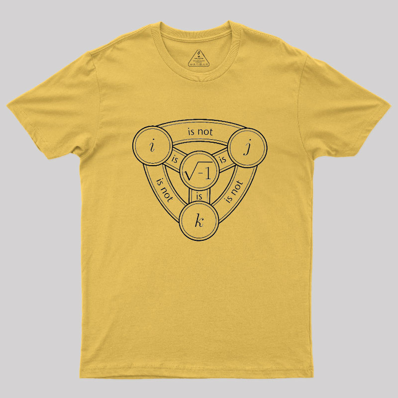 Divine Algebraic Confusion Geek T-Shirt