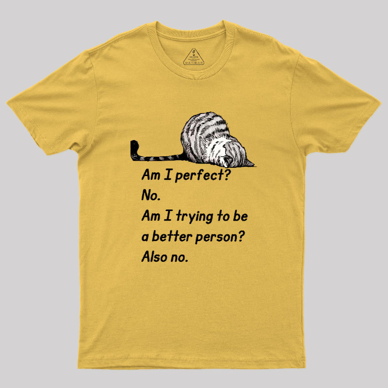 Am I Perfect No Geek T-Shirt