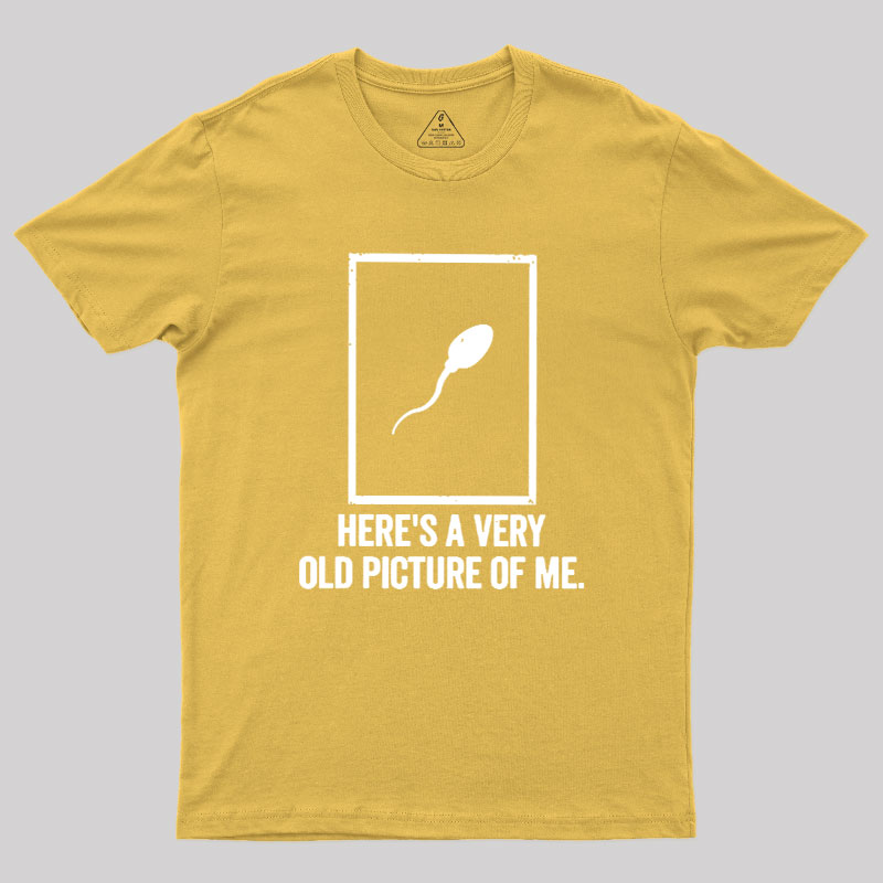 Here's A Very Old Picture Of Me Geek T-Shirt