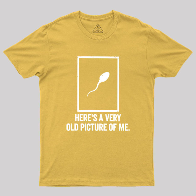 Here's A Very Old Picture Of Me Geek T-Shirt