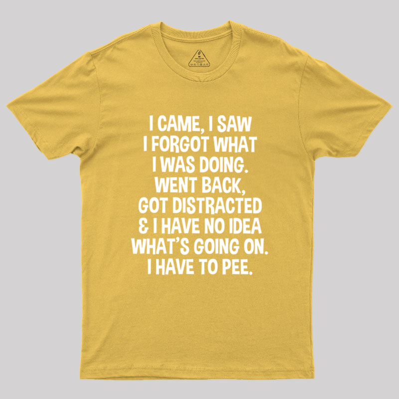 I Came I Saw I Forgot What I Was Doing Geek T-Shirt