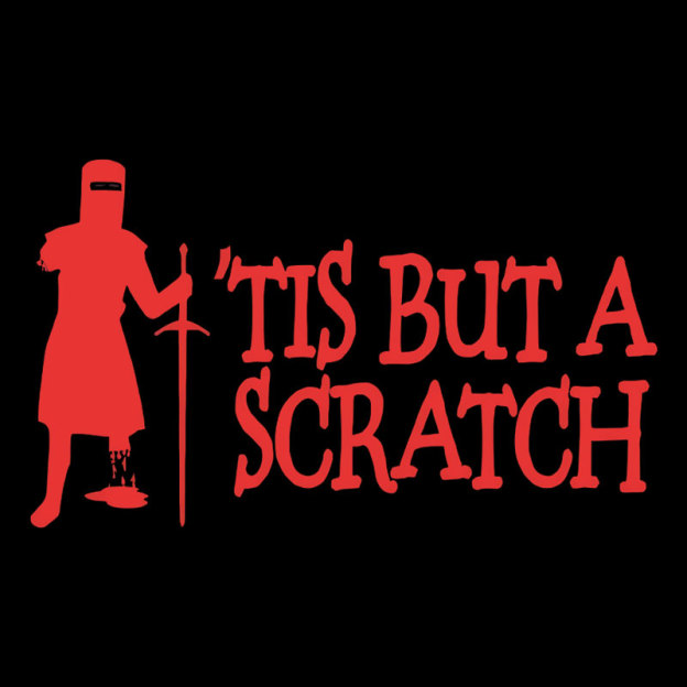 TIS BUT A SCRATCH Geek T-Shirt