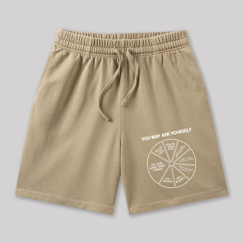 You May Ask Yourself Geeky Washed Shorts