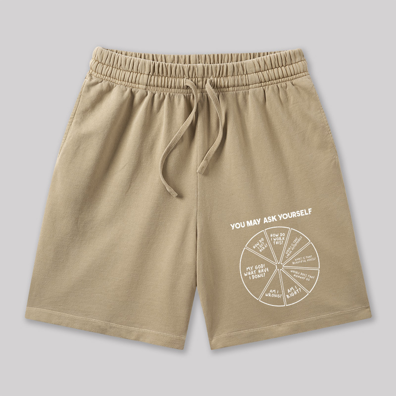 You May Ask Yourself Geeky Washed Shorts