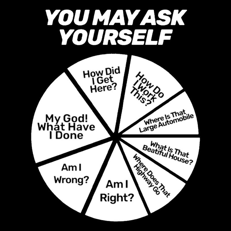 You May Ask Yourself Geek T-Shirt