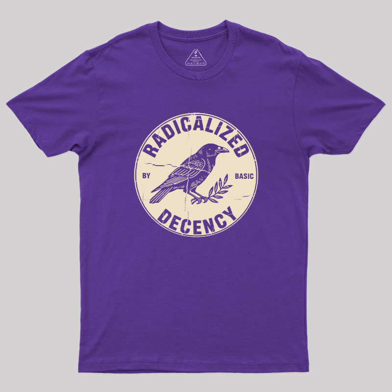 Radicalized By Basic Decency Geek T-Shirt