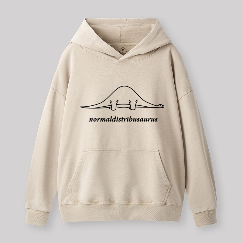 Normal Distribution Dinosaur Washed Hoodie